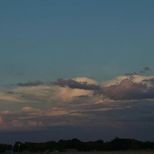 Meet your Posher, Daniela